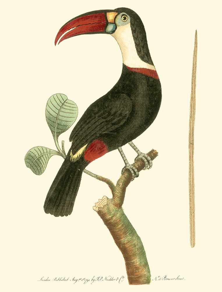 Crimson Birds VI