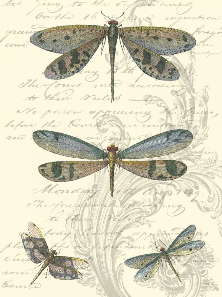 Dragonfly Delight I