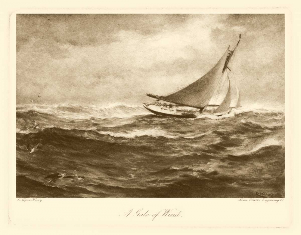 A Gale of Wind