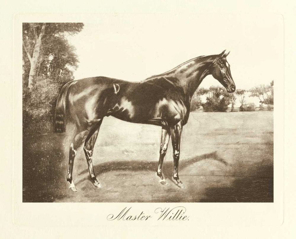 Master Willie