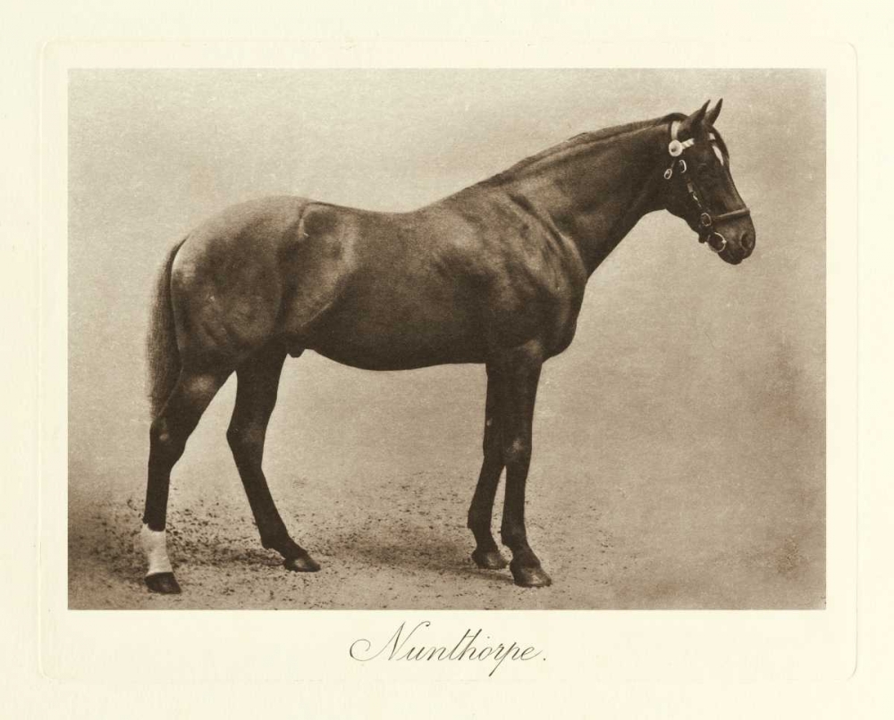 Nunthorpe