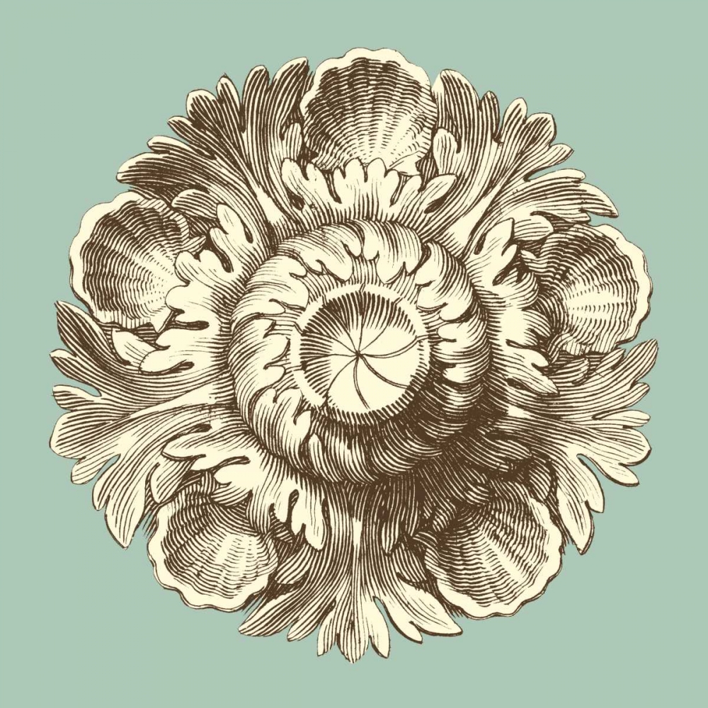 Celadon and Mocha Rosette III