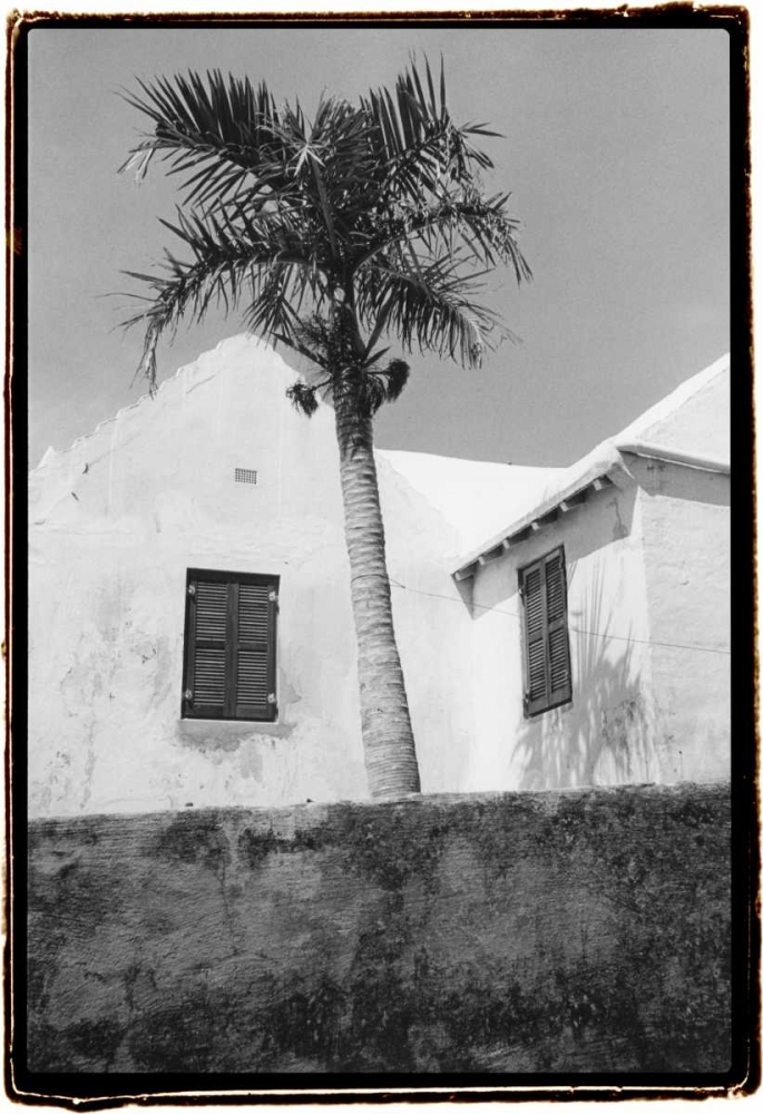 Bermuda Shade