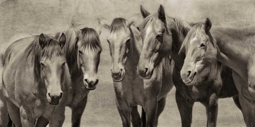 Meeting of the Minds