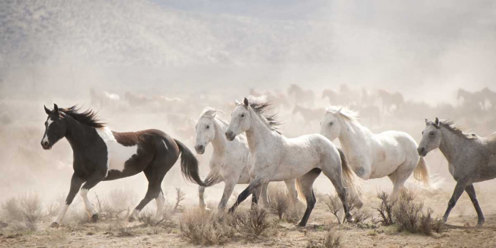 Open Range