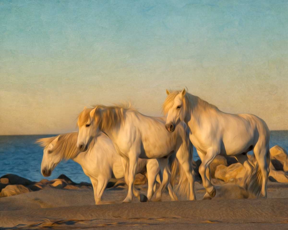 On the Beach