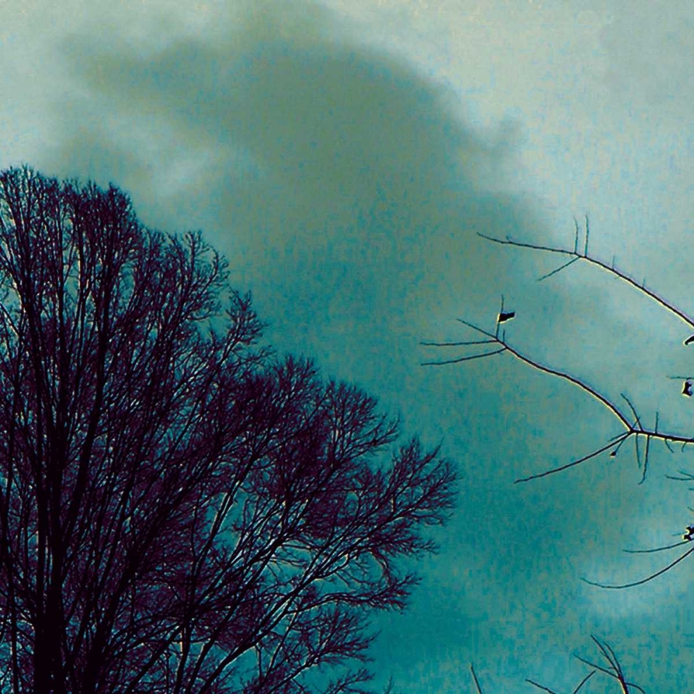 Nocturne II