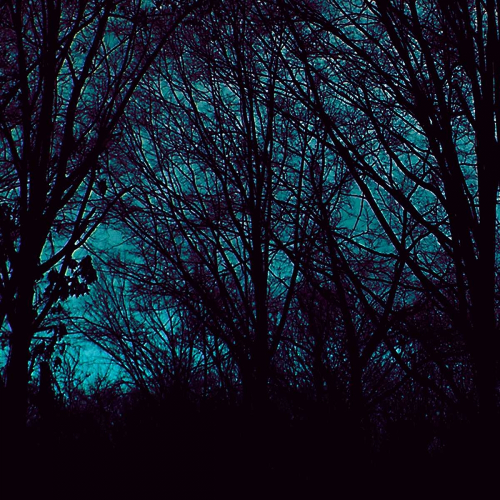 Nocturne III