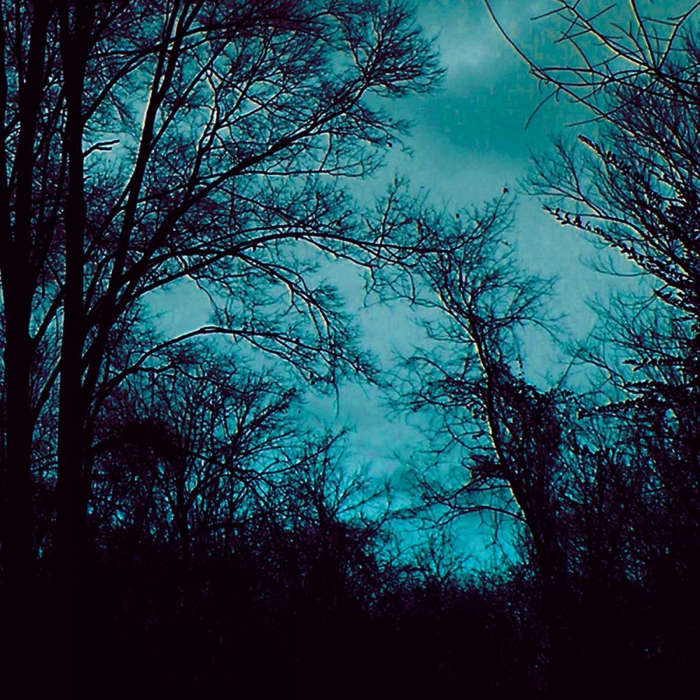 Nocturne IV