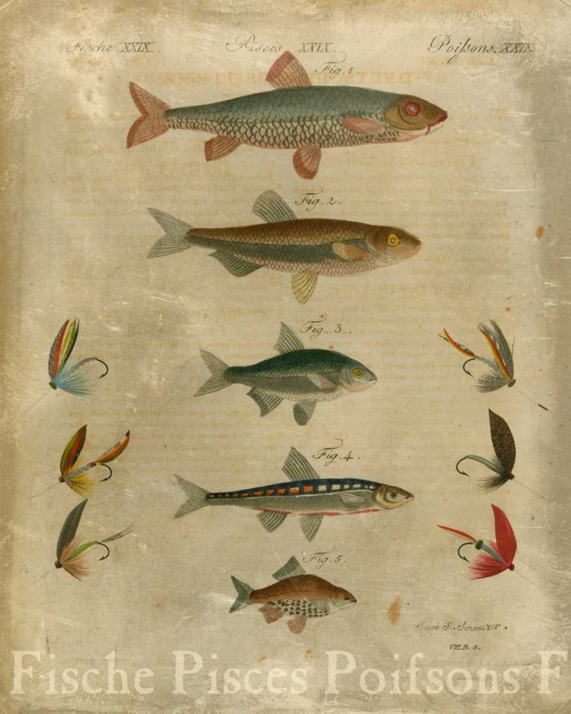 Pisces Composition I