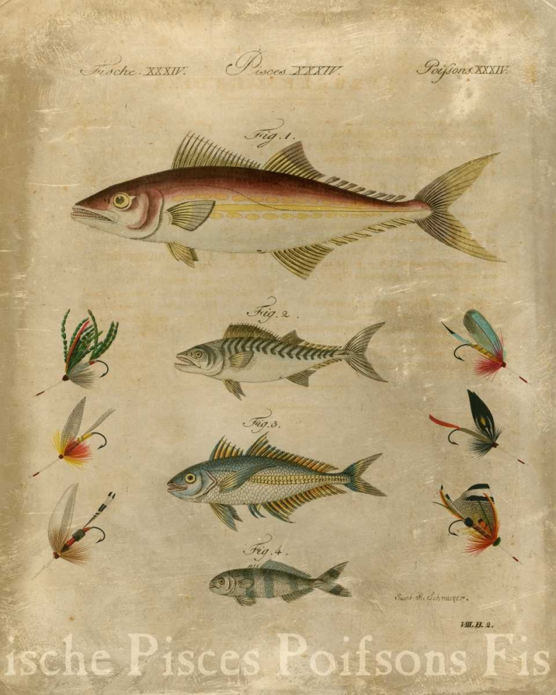 Pisces Composition II