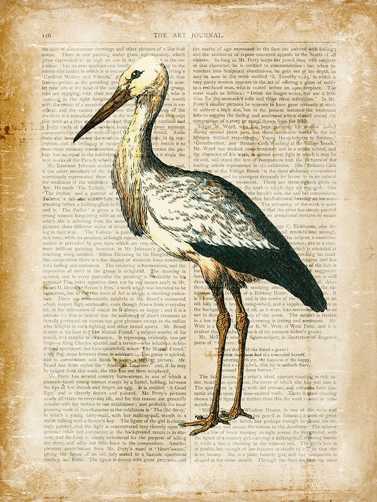 Antiquarian Birds II
