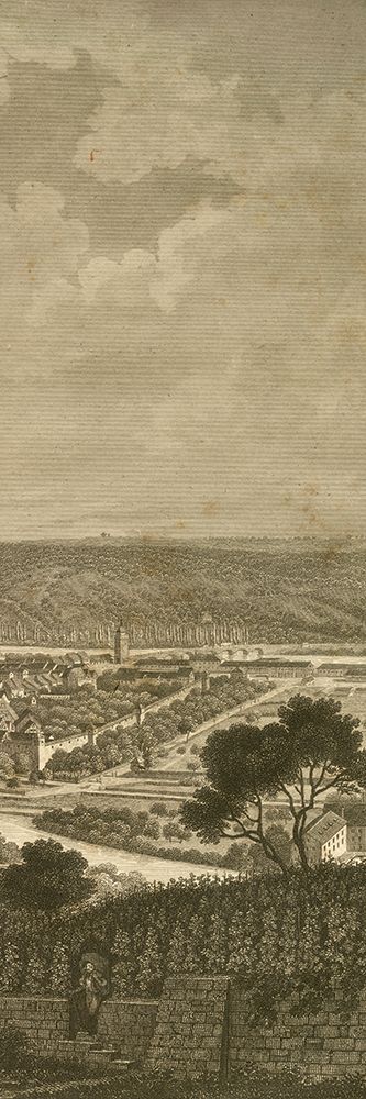 Pastoral Panorama IV