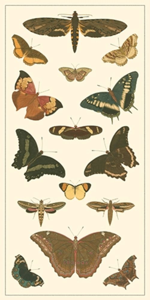 Cramer Butterfly Panel II