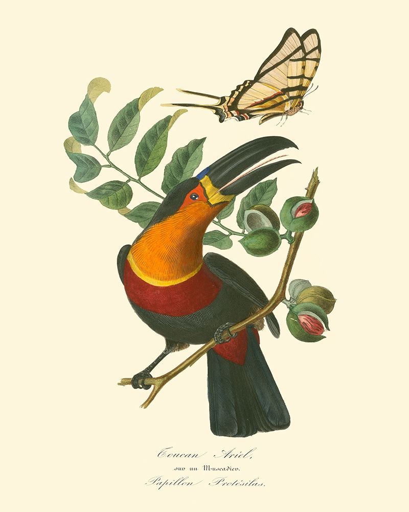 Nature Jardin III