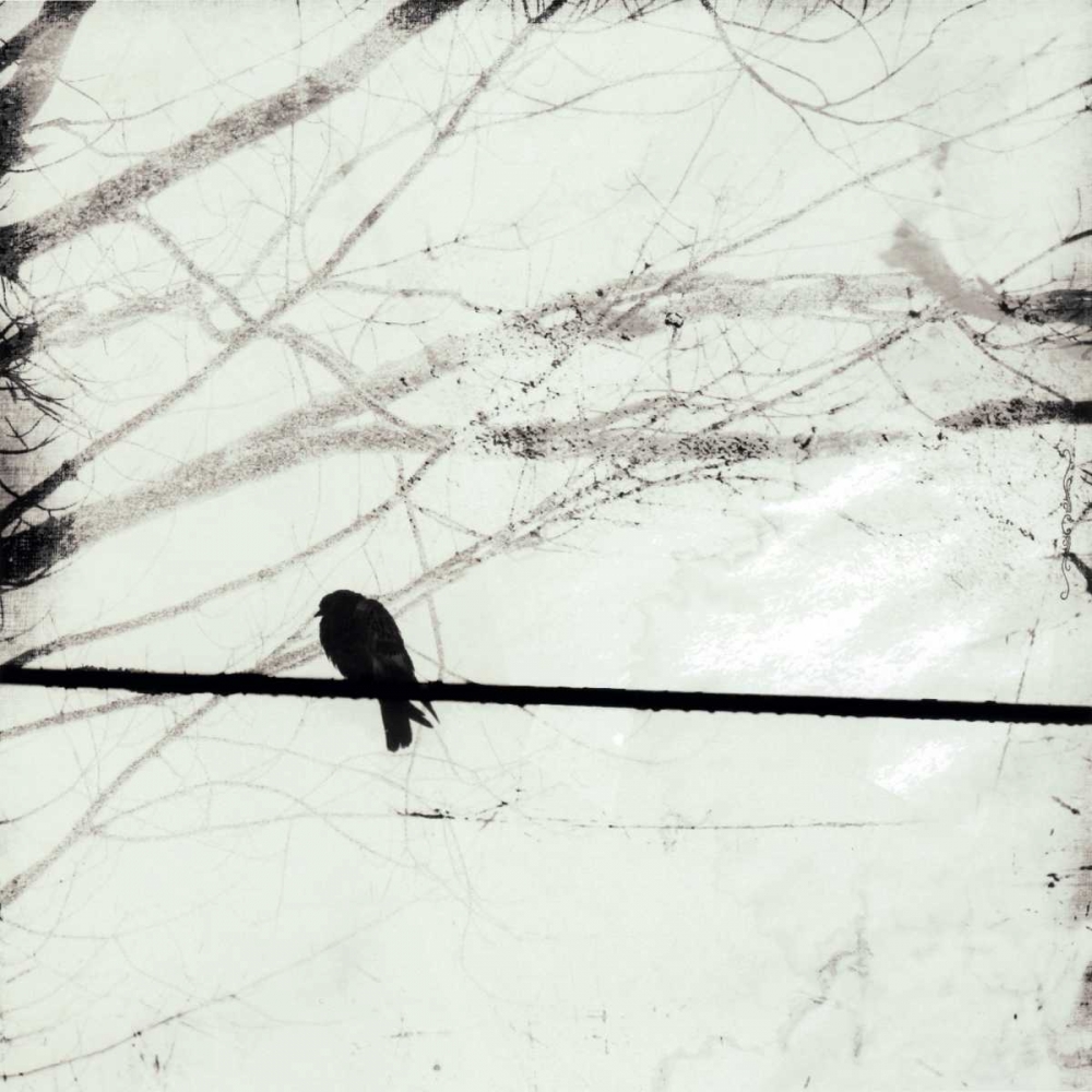 Silver Days II