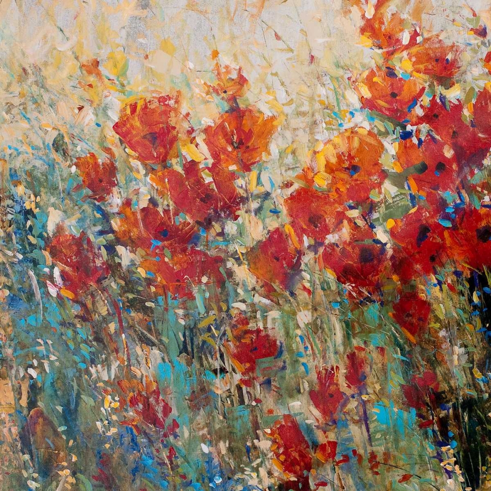 Red Poppy Field I