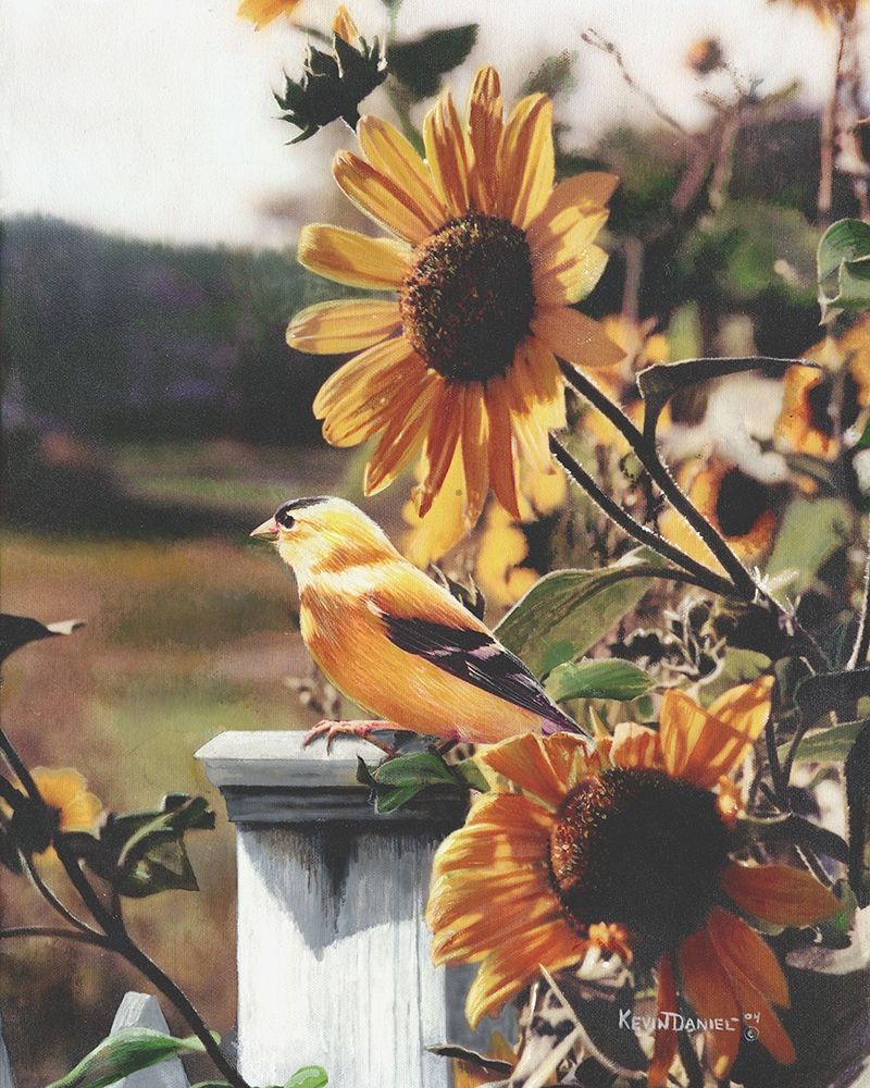 A Golden Morning