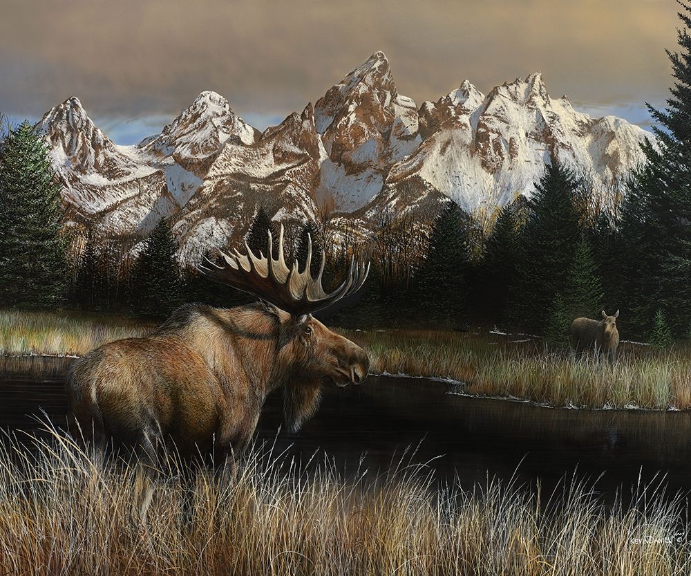 Teton Majesty