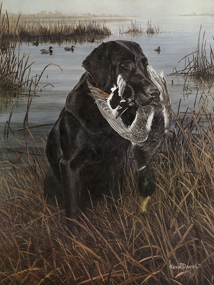 A Friend in the Marsh