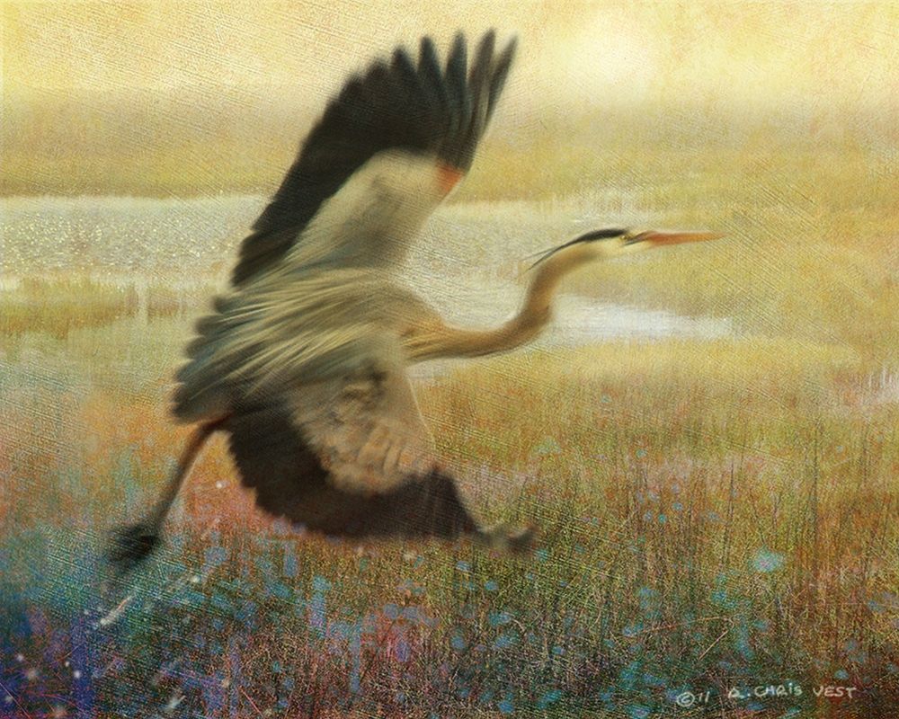 Foggy Heron I