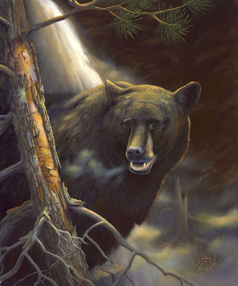 Bear Portrait