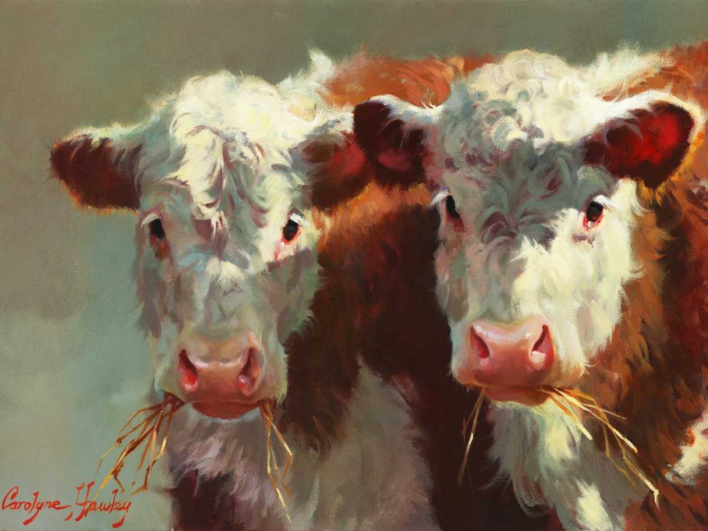 Cow Belles