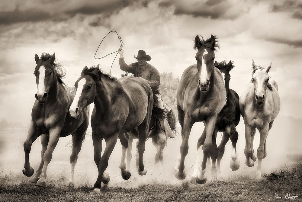 The Chase I