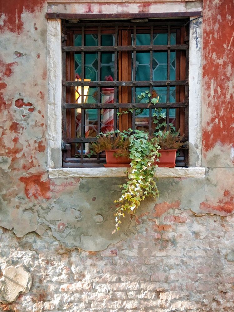 Venice Snapshots VI