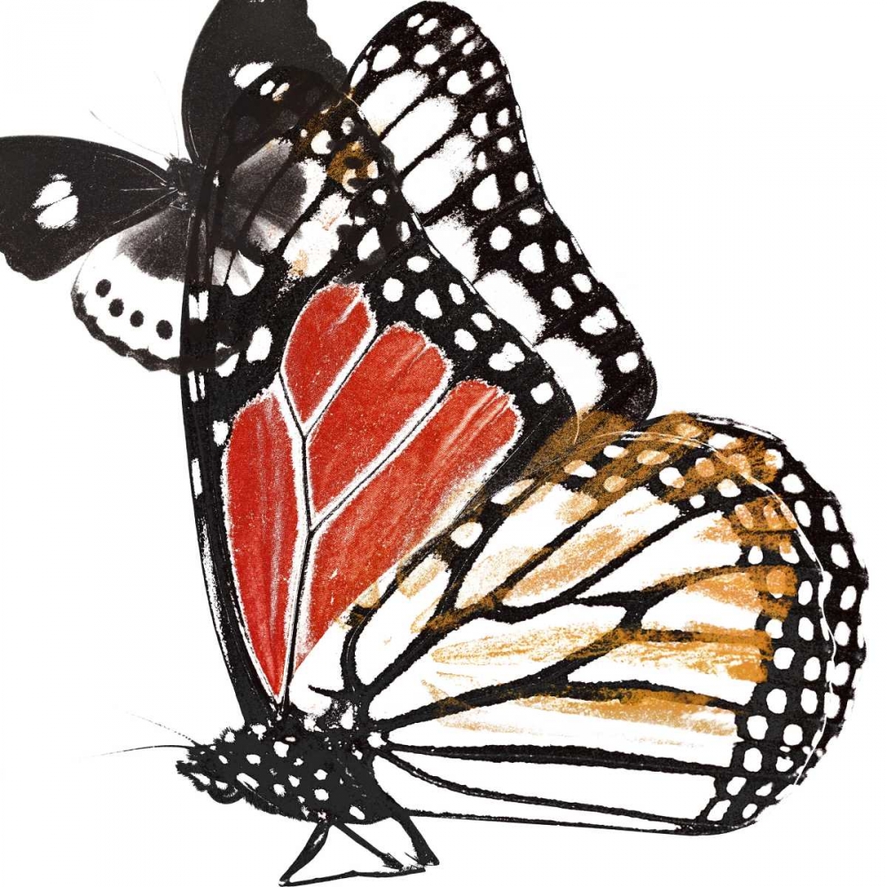 Butterflies Dance IV