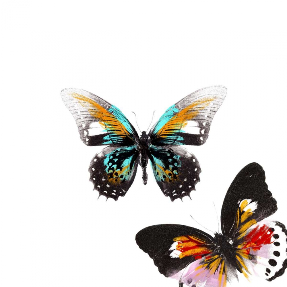 Butterflies Dance VI