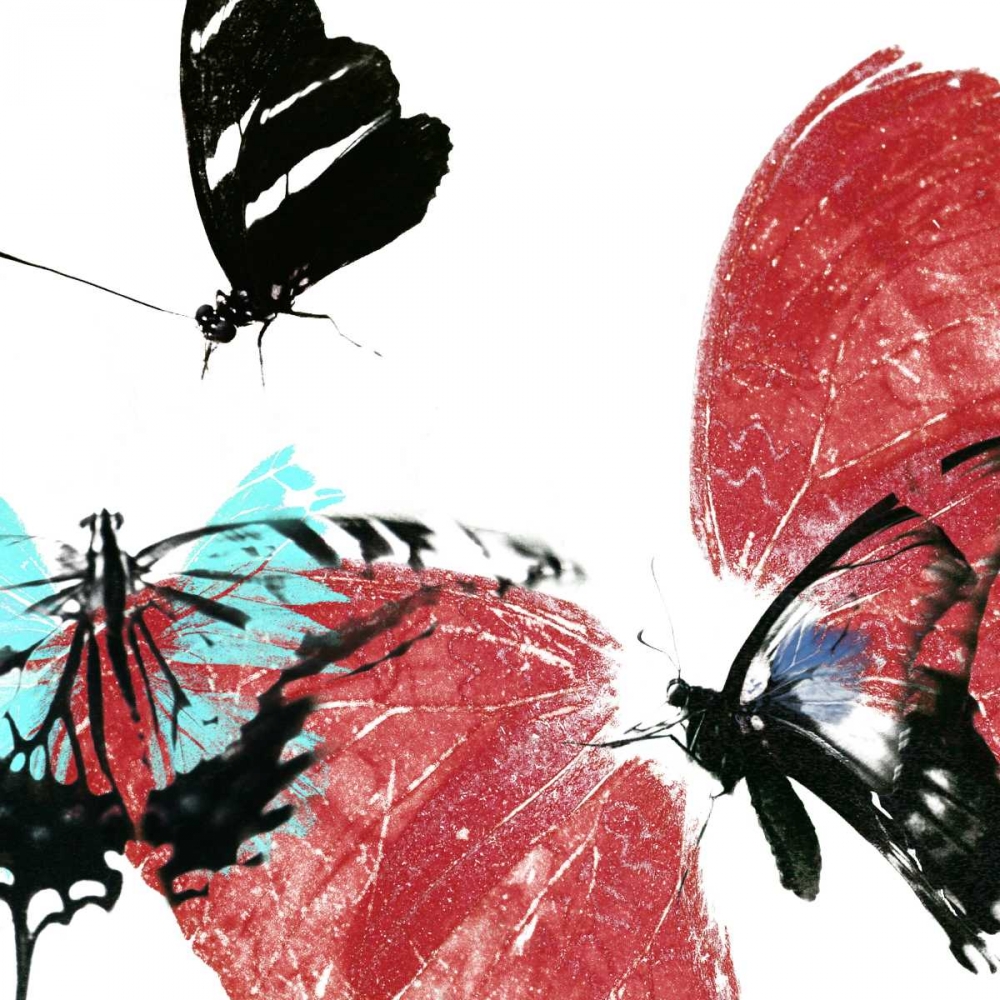 Butterflies Dance VIII
