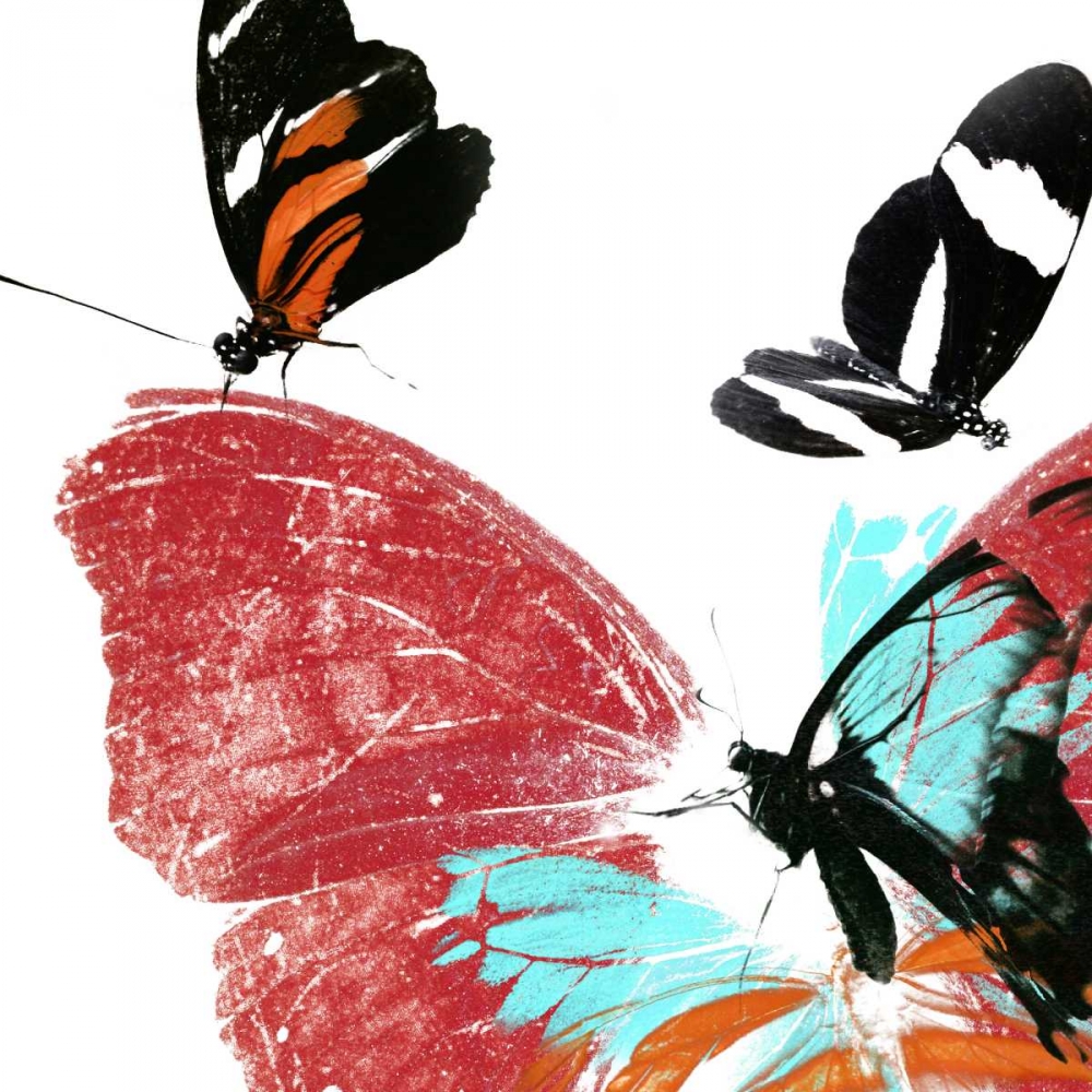 Butterflies Dance IX
