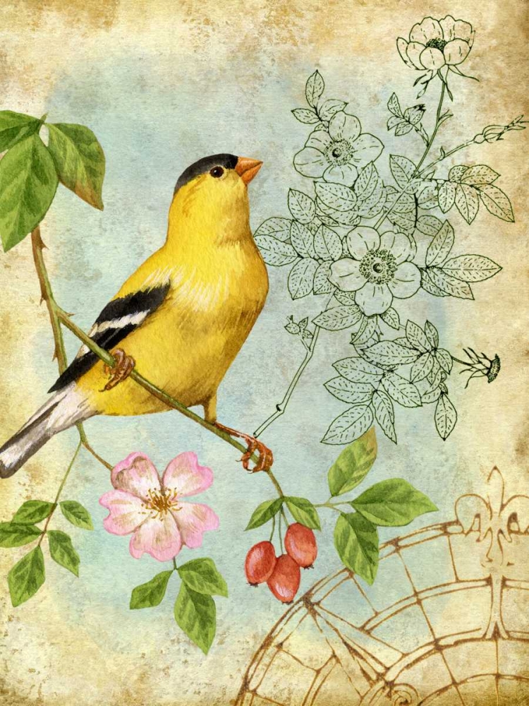 Songbird Sketchbook III