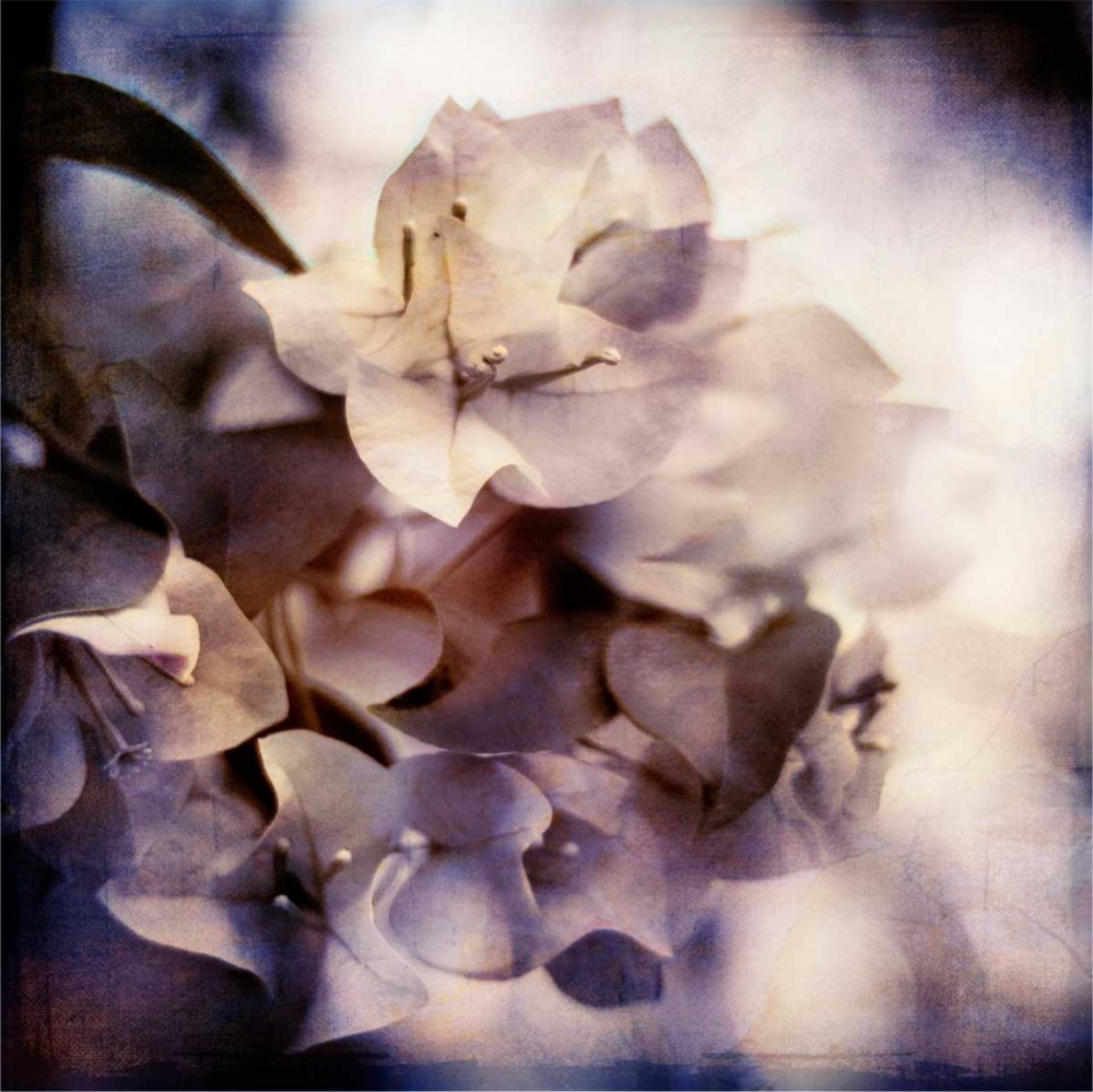 Purple Dusk I