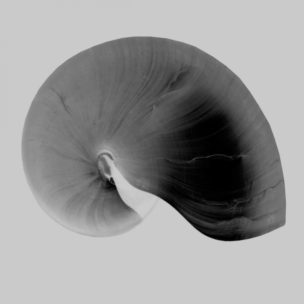 Nautilus Twin II