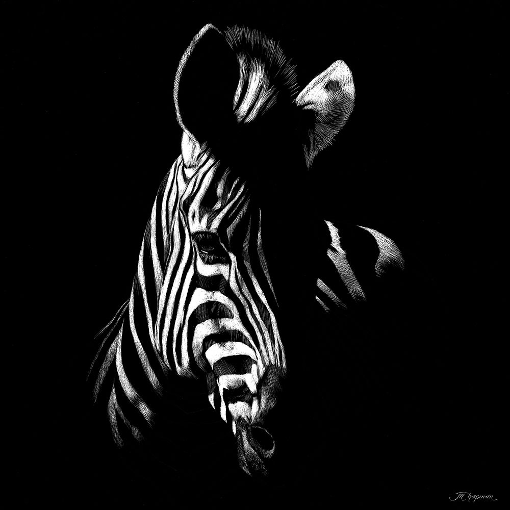 Wildlife Scratchboards V