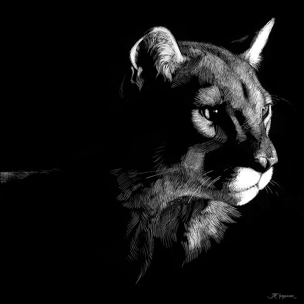 Wildlife Scratchboards VII