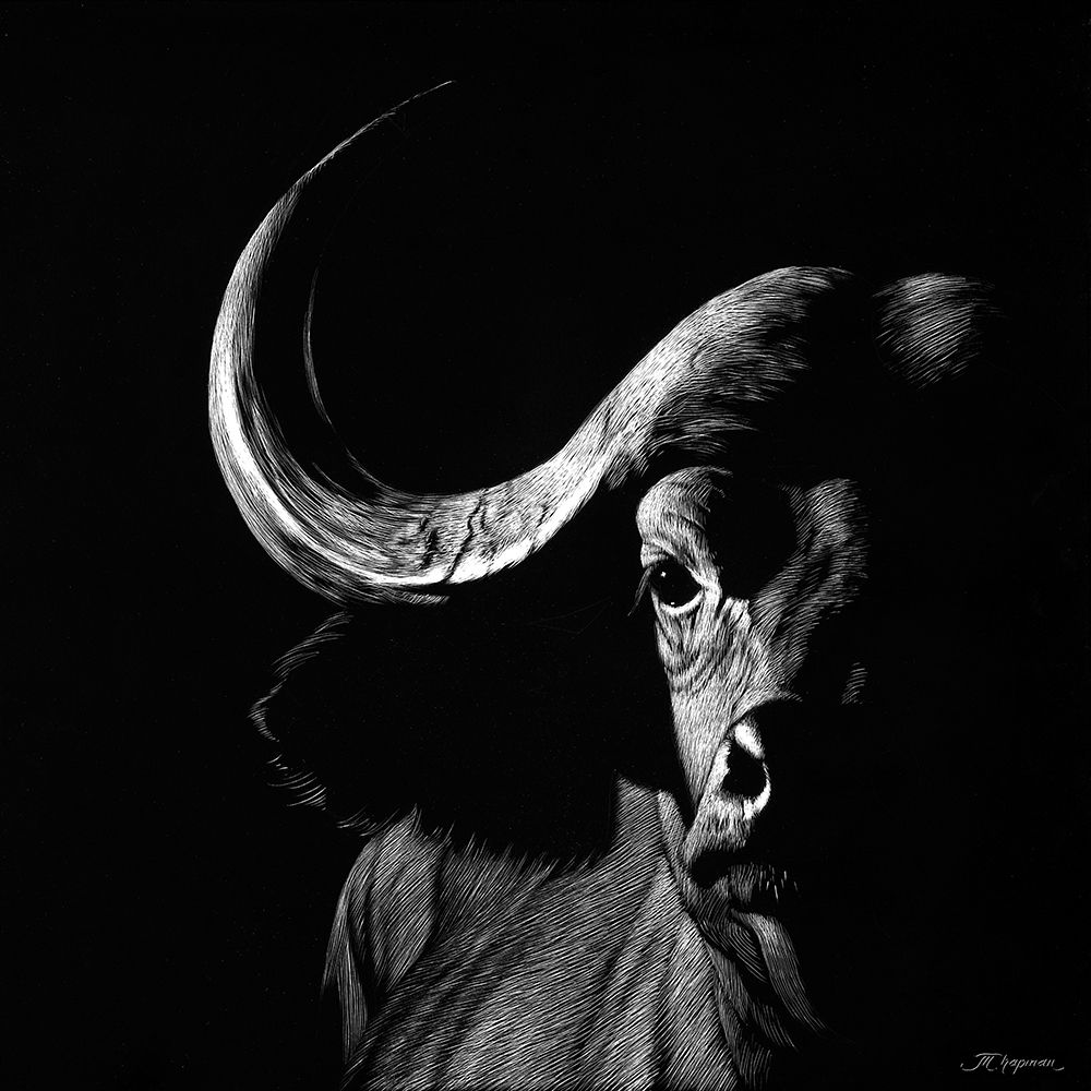 Wildlife Scratchboards VIII