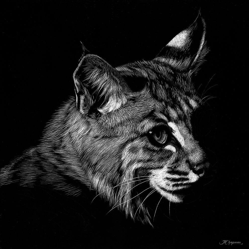 Wildlife Scratchboards IX