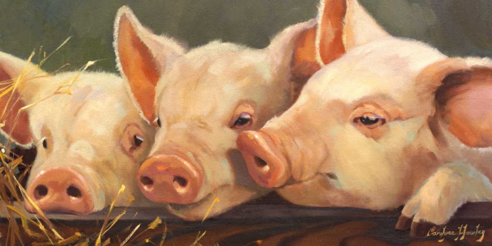 Pig Heaven