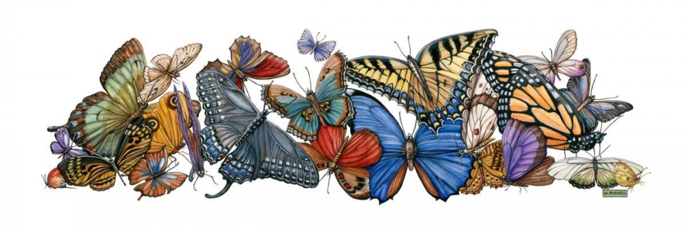 Wings of Splendor I