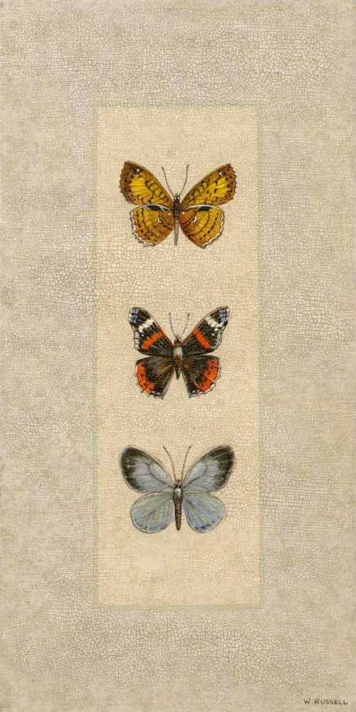 Butterfly Trio II