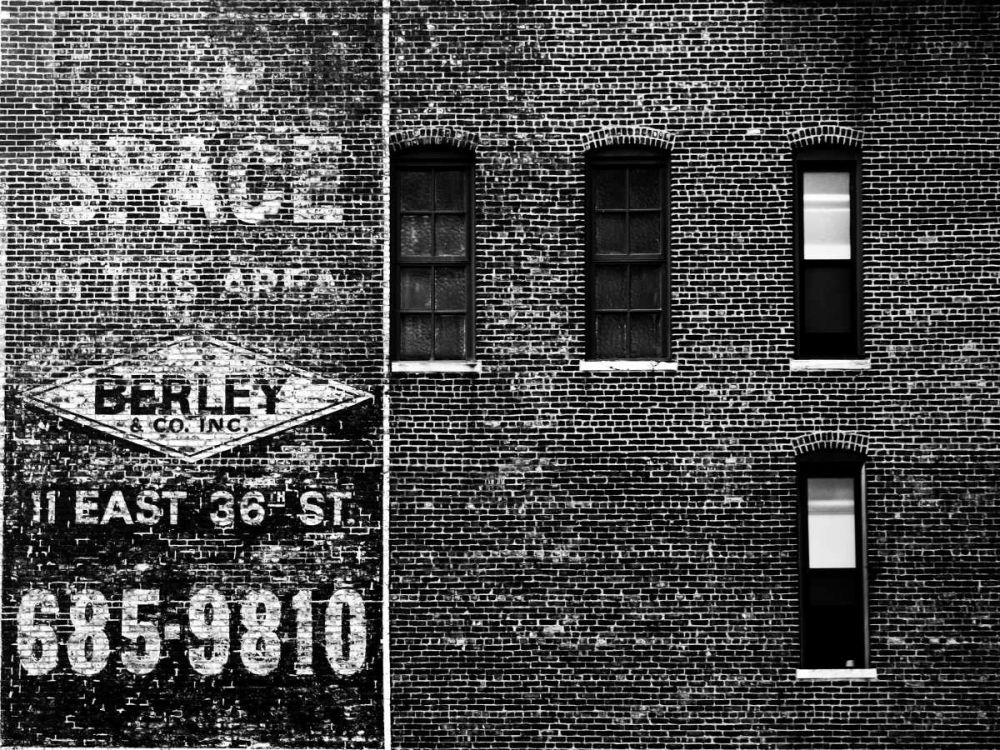 The City Speaks III