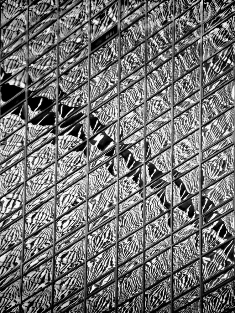 Reflections of NYC V