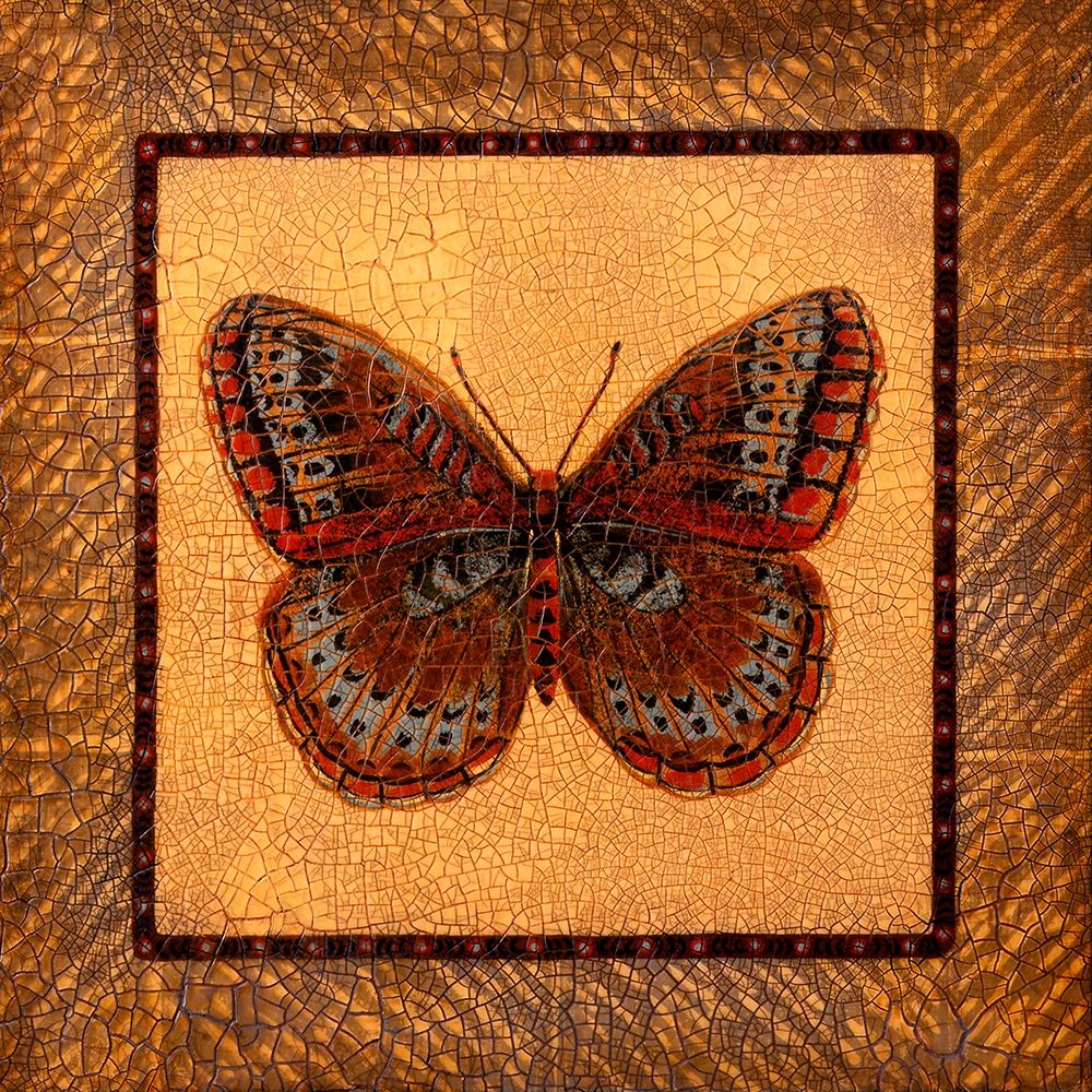 Crackled Butterfly - Fritillary
