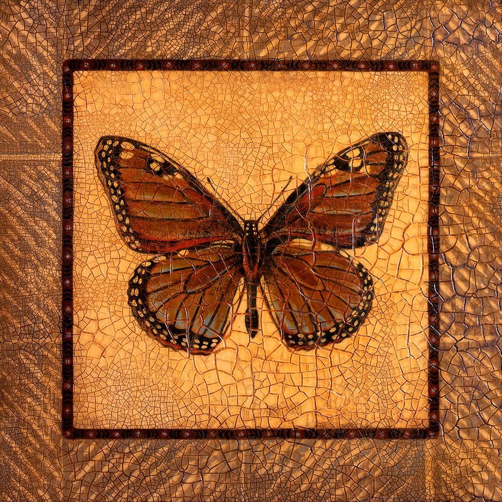 Crackled Butterfly - Monarch