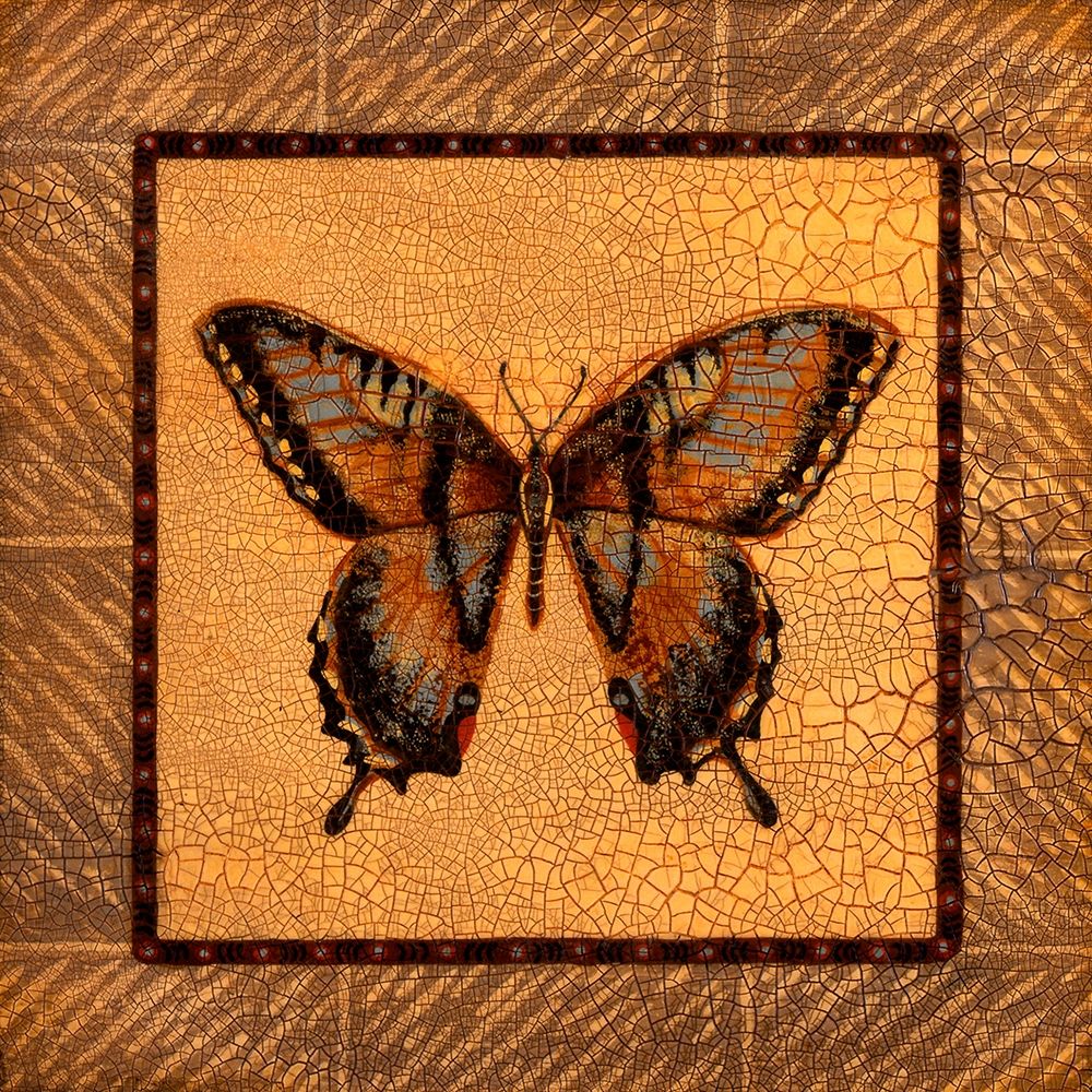 Crackled Butterfly - Swallowtail