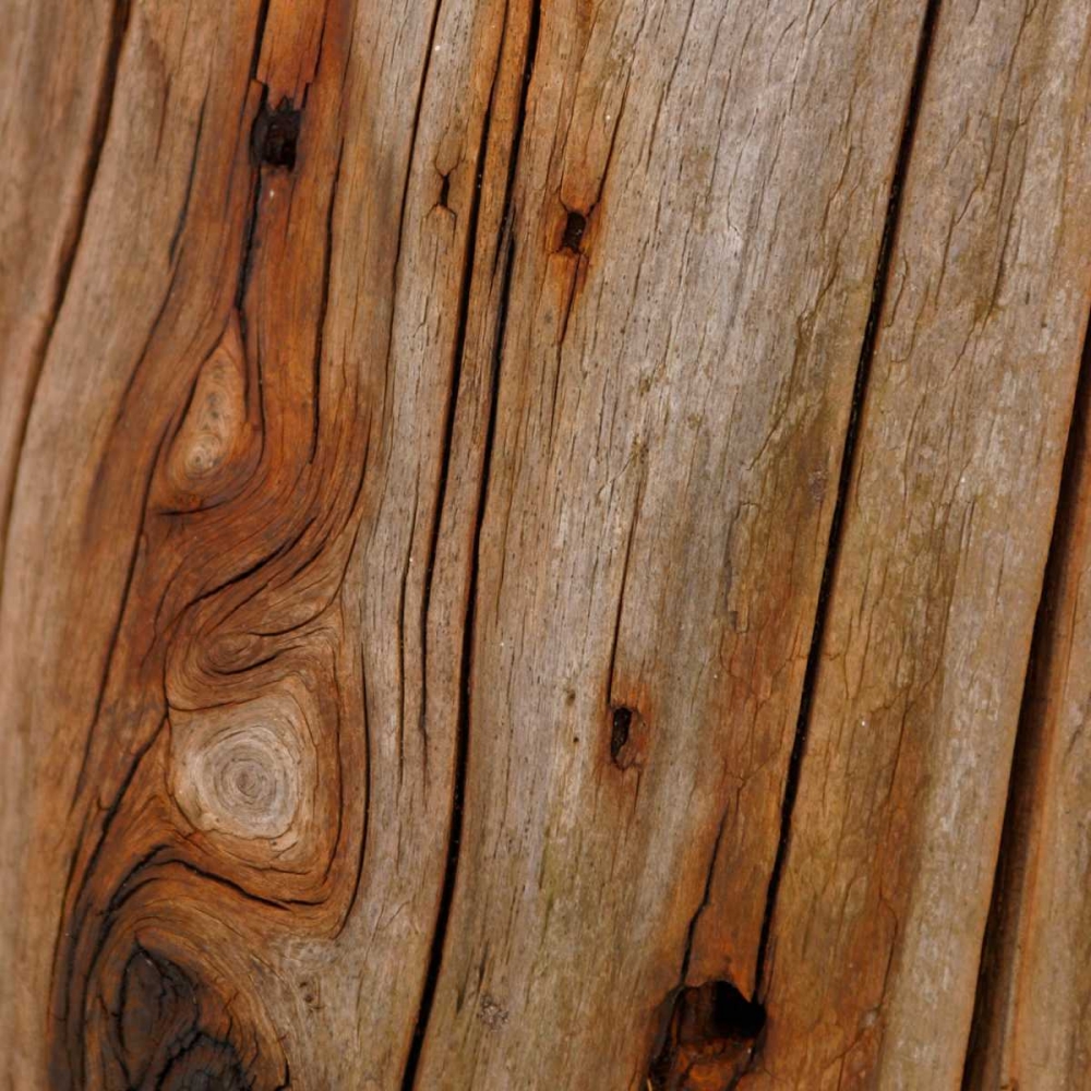 Natures Textures IX