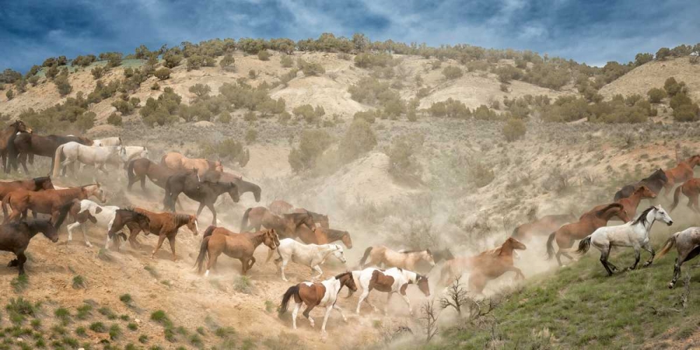 Moving the Herd